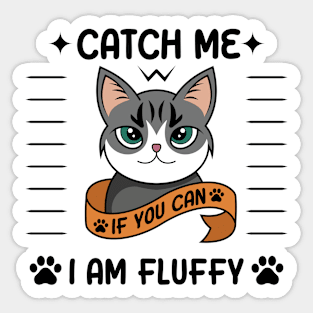 CatCh Me I Am Fluffy Sticker